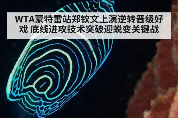 WTA蒙特雷站郑钦文上演逆转晋级好戏 底线进攻技术突破迎蜕变关键战