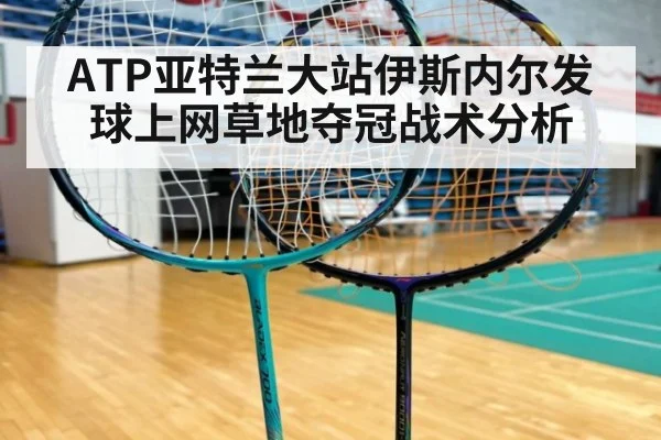 ATP亚特兰大站伊斯内尔发球上网草地夺冠战术分析