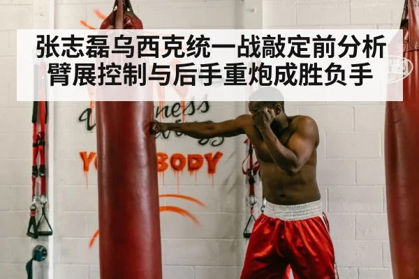 boxer punching heavy bag