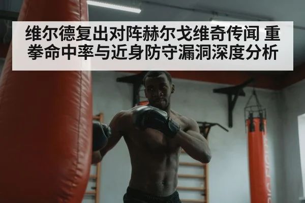 boxer training heavy bag
